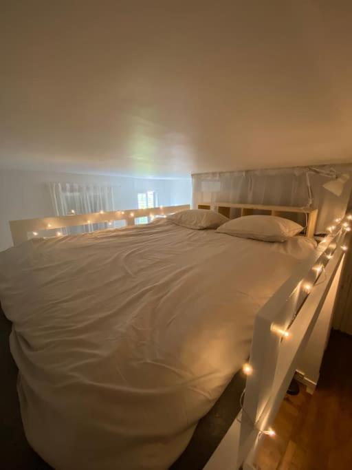 Appartement De Charme Pres Du Stade De France Saint-Denis  Kültér fotó
